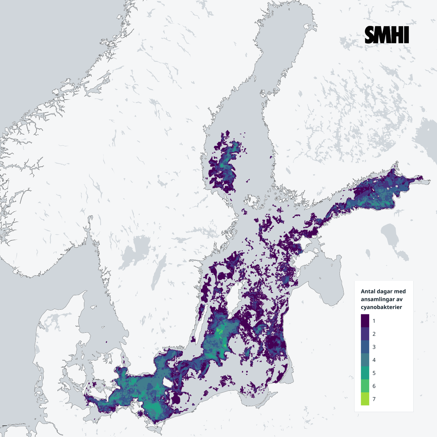 Satellitkarta cyanobakterieblomning Östersjön senaste 7 dagarna