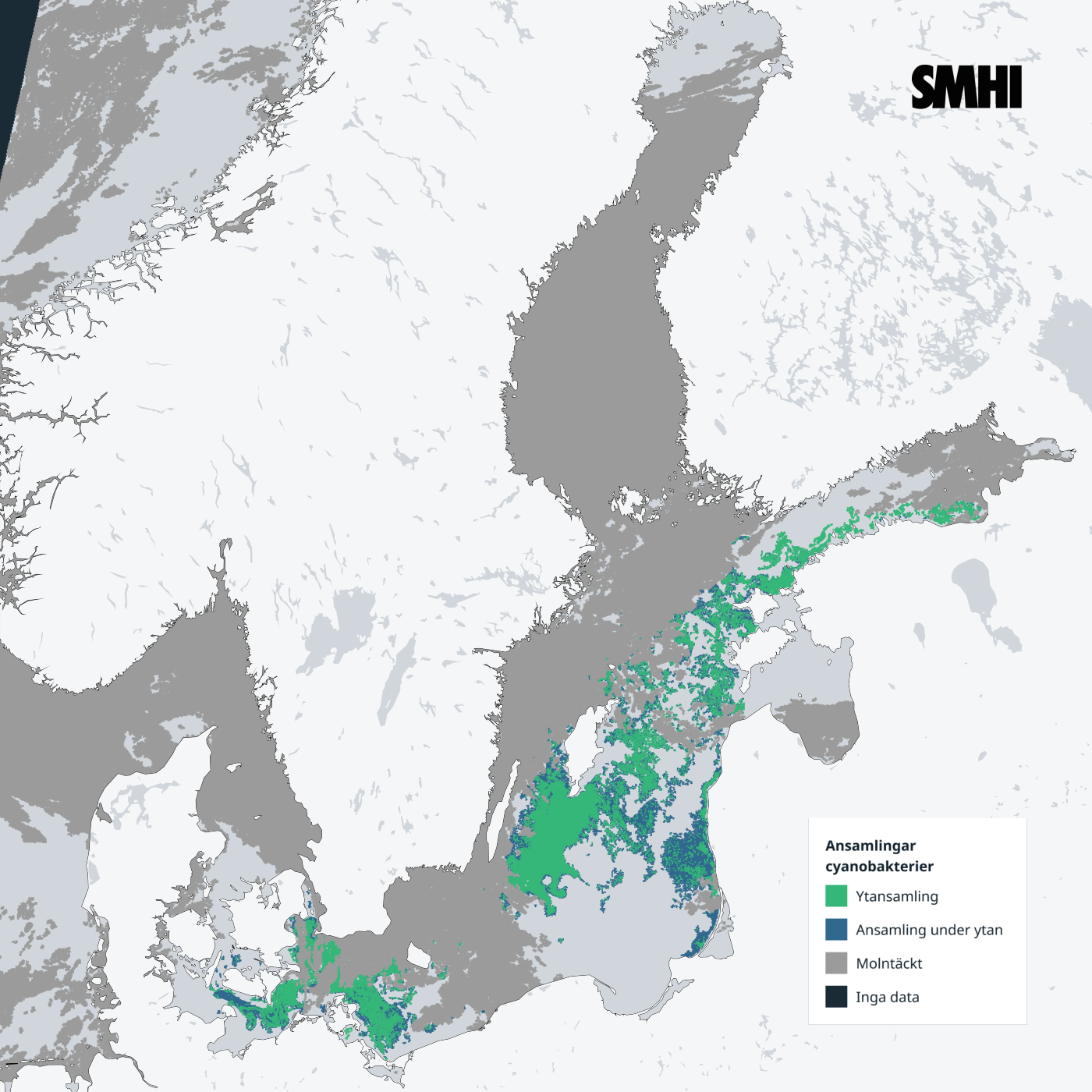 Satellitkarta över cyanobakterieblomning i Östersjön